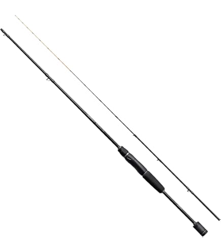 Amazon | シマノ(SHIMANO) 筏竿 筏 22 セイハコウ(青波攻) AX 160